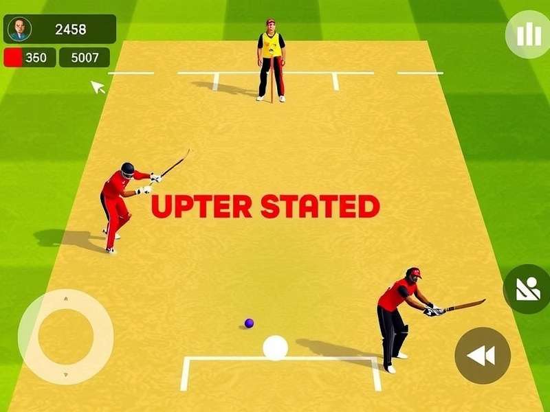 Indian Volley Cricket Wizard strategy guide